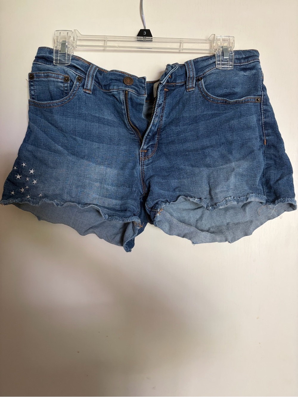 J. Crew Embroidered Star Shorts